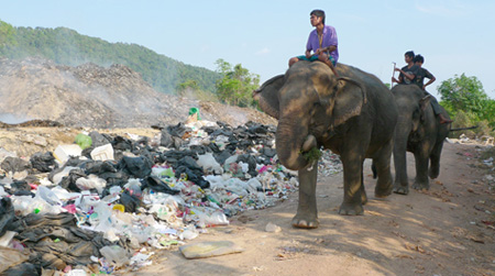 Soptippen på paradisön Koh Lanta i Thailand där svenskarnas sopor landar. Foto: Marcus Hansson